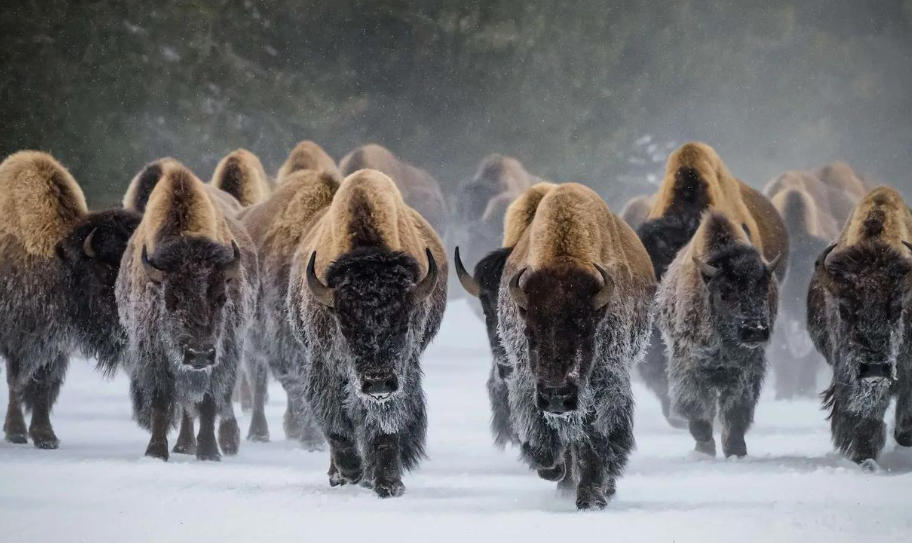 广西天源通泰商贸有限公司轮播图4