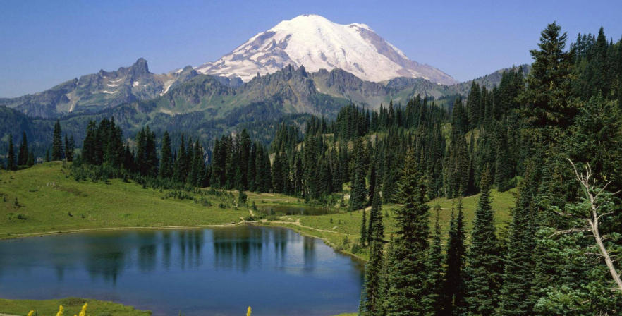 广西天源通泰商贸有限公司轮播图3